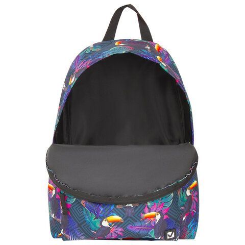 Рюкзак BRAUBERG СИТИ-ФОРМАТ универсальный, &quot;Toucans&quot;, разноцветный, 41х32х14 см, 228847