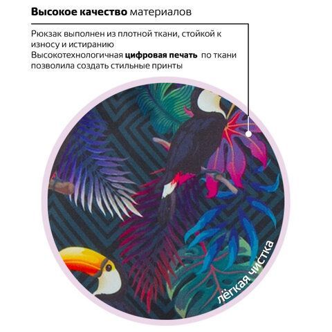 Рюкзак BRAUBERG СИТИ-ФОРМАТ универсальный, &quot;Toucans&quot;, разноцветный, 41х32х14 см, 228847