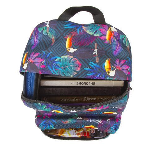 Рюкзак BRAUBERG СИТИ-ФОРМАТ универсальный, &quot;Toucans&quot;, разноцветный, 41х32х14 см, 228847