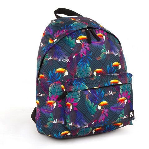 Рюкзак BRAUBERG СИТИ-ФОРМАТ универсальный, &quot;Toucans&quot;, разноцветный, 41х32х14 см, 228847