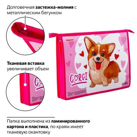 Папка для тетрадей ПИФАГОР А4, 1 отделение, картон, молния сверху, "KORGI", 229102
