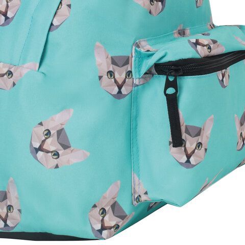 Рюкзак BRAUBERG СИТИ-ФОРМАТ универсальный, &quot;Cats&quot;, голубой, 41х32х14 см, 229881