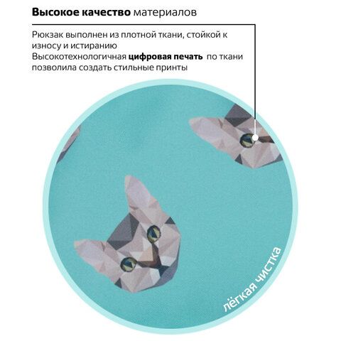 Рюкзак BRAUBERG СИТИ-ФОРМАТ универсальный, &quot;Cats&quot;, голубой, 41х32х14 см, 229881