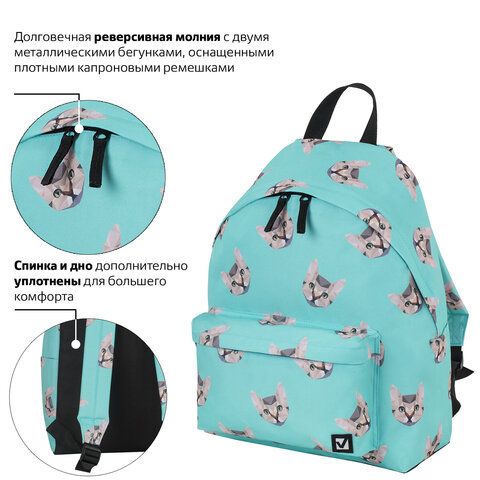 Рюкзак BRAUBERG СИТИ-ФОРМАТ универсальный, &quot;Cats&quot;, голубой, 41х32х14 см, 229881