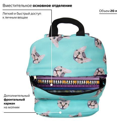 Рюкзак BRAUBERG СИТИ-ФОРМАТ универсальный, &quot;Cats&quot;, голубой, 41х32х14 см, 229881