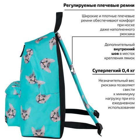 Рюкзак BRAUBERG СИТИ-ФОРМАТ универсальный, &quot;Cats&quot;, голубой, 41х32х14 см, 229881