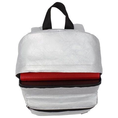 Рюкзак BRAUBERG TYVEK крафтовый с водонепроницаемым покрытием, серебристый, 34х26х11 см, 229891