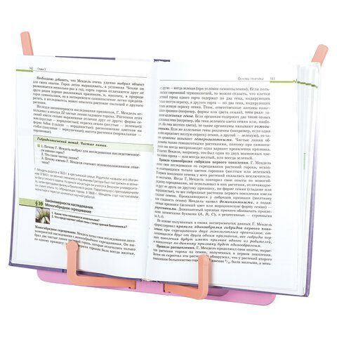 Подставка для книг и учебников BRAUBERG KIDS &quot;Flamingo&quot;, регулируемый наклон, ABS-пластик, 238061