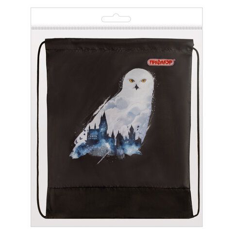Мешок для обуви ПИФАГОР, 1 отделение, 42х34 см, &quot;White Owl&quot;, 270182