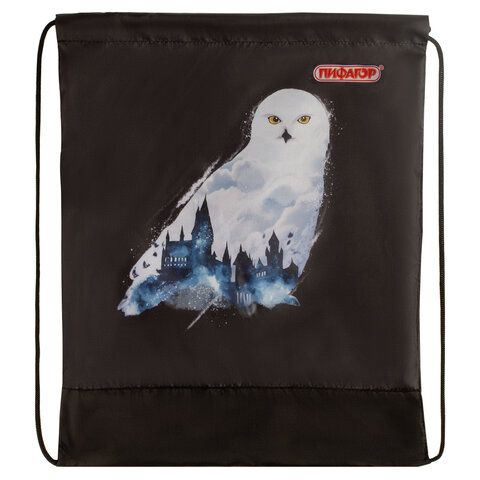 Мешок для обуви ПИФАГОР, 1 отделение, 42х34 см, &quot;White Owl&quot;, 270182