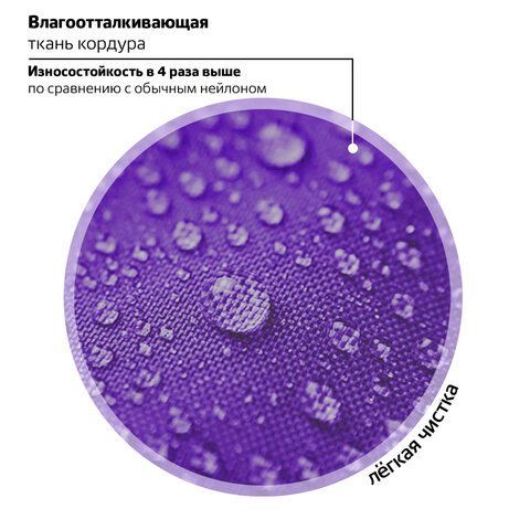 Ранец BRAUBERG PREMIUM, 2 отделения, с брелком, &quot;Shining girl&quot;, 38х29х16 см, 270592