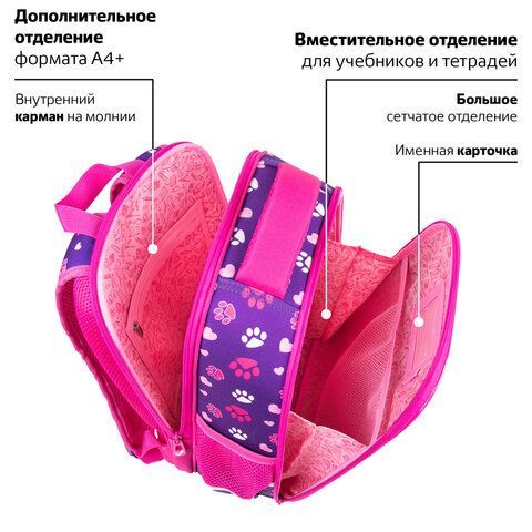 Ранец BRAUBERG FIT, 2 отделения, &quot;Playing kitty&quot;, 3D-панель, 38х27х14 см, 270615