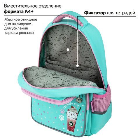 Рюкзак ЮНЛАНДИЯ COMPLETE с пеналом в комплекте, эрго-спинка, &quot;Yummy cat&quot;, 42х29х14 см, 270663