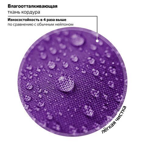 Ранец ЮНЛАНДИЯ EXTRA, с дополнительным объемом, &quot;Penguin&quot;, 38х29х18 см, 270673