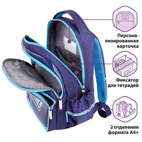 Рюкзак ЮНЛАНДИЯ MILD, 2 отделения, эрго-спинка, &quot;Adventure trails&quot;, 36х28х18 см, 270680