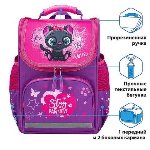 Ранец ПИФАГОР BASIC, с эргономичной спинкой, &quot;Black kitten&quot;, 35х28х18 см, 270681