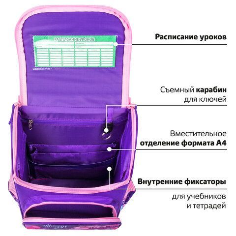 Ранец ПИФАГОР BASIC, 1 отделение, 3 кармана, эргономичная спинка, &quot;Butterflies&quot;, 35х28х18 см, 270683