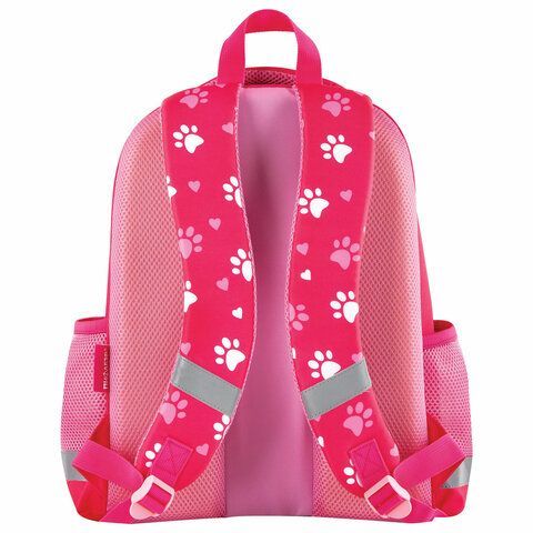 Ранец ПИФАГОР EVA BASIC, 1 отделение, &quot;Fluffy cat&quot;, 39х30х16 см, 270691