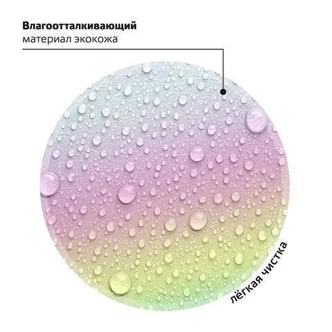 Ранец BRAUBERG SHINY, 2 отделения, &quot;Curious mouse&quot;, 36х28х14 см, 270696