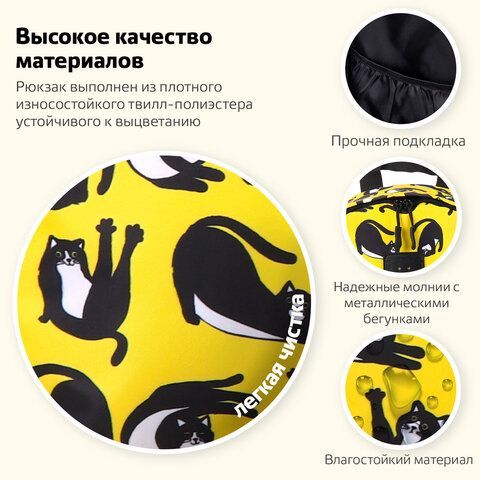 Рюкзак BRAUBERG POSITIVE универсальный, карман-анивор, потайной карман, &quot;Lazy cats&quot;, 42х28х14 см, 270778