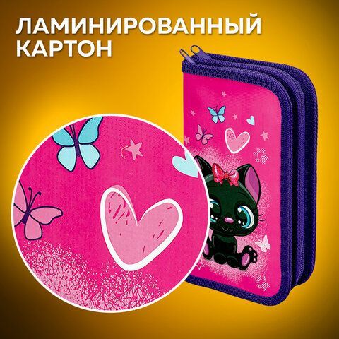 Пенал ПИФАГОР, 2 отделения, ламинированный картон, 19х11 см, &quot;Black kitten&quot;, 270881
