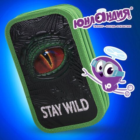 Пенал ЮНЛАНДИЯ, 2 отделение, ламинированный картон, 19х11 см, &quot;Stay wild&quot;, 270889