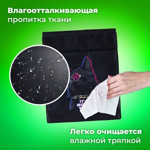 Мешок для обуви BRAUBERG, с петлёй, карман на молнии, 47х37 см, &quot;Movie time&quot;, 270910