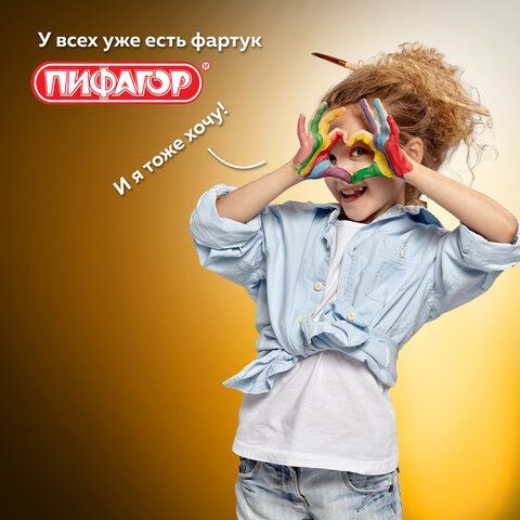 Фартук с нарукавниками для уроков труда ПИФАГОР, 1 карман, 44x55 см, &quot;Champion&quot;, 270927