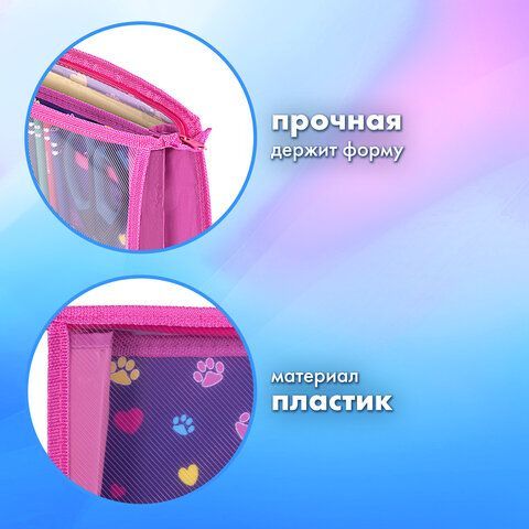 Папка для труда на молнии BRAUBERG А4, 2 отделения, органайзер, &quot;Playing kitty&quot;, 270976