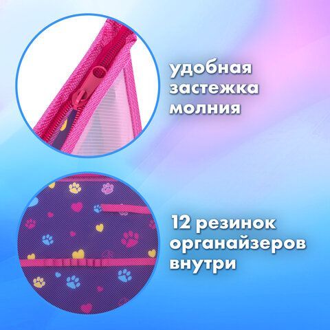 Папка для труда на молнии BRAUBERG А4, 2 отделения, органайзер, &quot;Playing kitty&quot;, 270976
