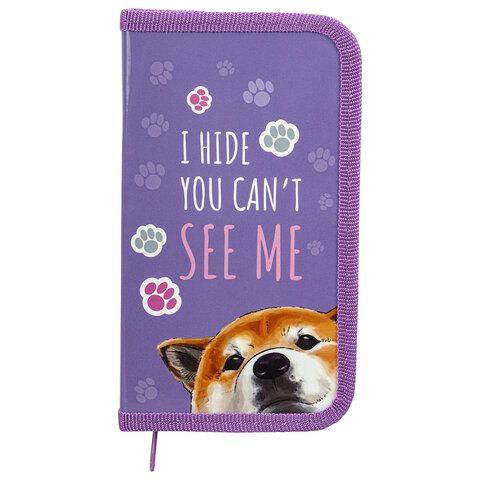 Пенал ПИФАГОР, 1 отделение, ламинированный картон, 19х11 см, &quot;Akita&quot;, 271005