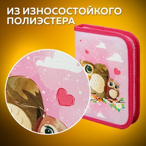 Пенал ПИФАГОР, 1 отделение, полиэстер, 19х13 см, &quot;Cute owls&quot;, 271011