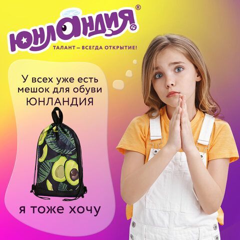 Мешок для обуви ЮНЛАНДИЯ, с ручками, боковой карман на молнии, 46х36 см, &quot;Fresh&quot;, 271063