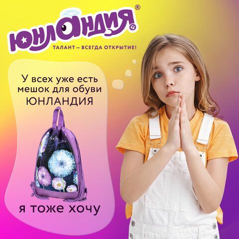 Мешок для обуви ЮНЛАНДИЯ с ручками, боковой карман на молнии, 46х36 см, &quot;Flowers&quot;, 271065