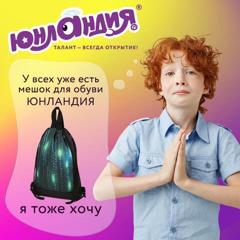 Мешок для обуви ЮНЛАНДИЯ, с ручками, боковой карман на молнии, 46х36 см, &quot;Matrix&quot;, 271068