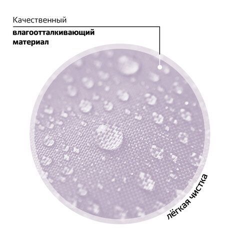 Рюкзак BRAUBERG FAVOUR, 2 отделения, 3 кармана, &quot;Fluffy kittens&quot;, 40х29х15 см, 271417