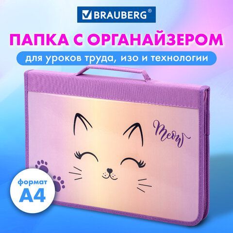 Папка на молнии BRAUBERG А4 с ручкой, с органайзером, 1 отделение, &quot;Cheerful&quot;, 271448