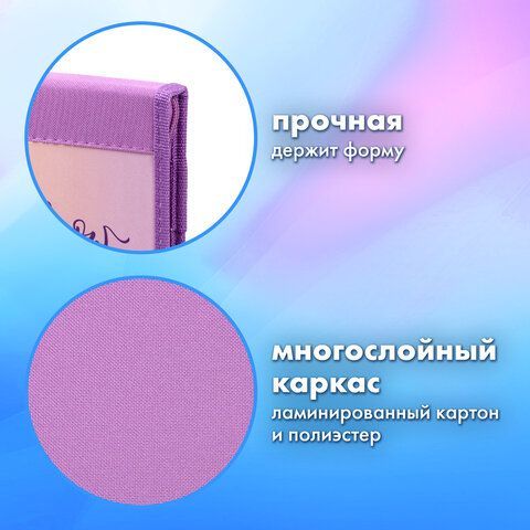 Папка на молнии BRAUBERG А4 с ручкой, с органайзером, 1 отделение, &quot;Cheerful&quot;, 271448