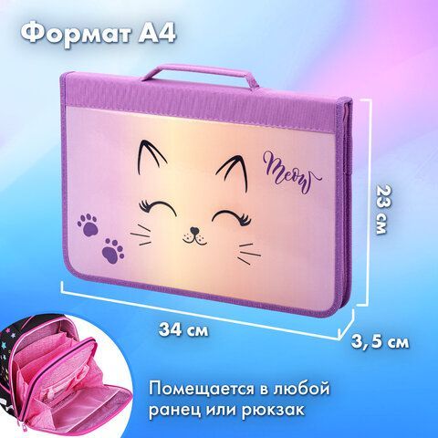 Папка на молнии BRAUBERG А4 с ручкой, с органайзером, 1 отделение, &quot;Cheerful&quot;, 271448