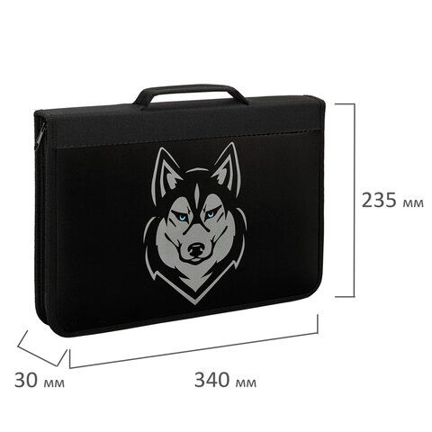 Папка на молнии BRAUBERG А4 с ручкой, с органайзером, 1 отделение, &quot;Husky&quot;, 271450