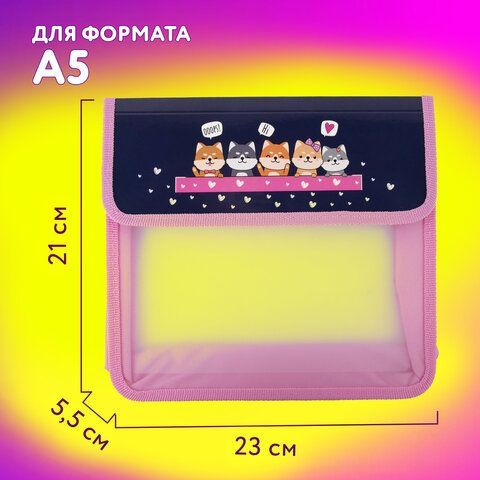 Папка для тетрадей ЮНЛАНДИЯ А5, пластик, 2 отделения, клапан на липучке, &quot;Dream Team&quot;, 271490