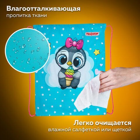 Мешок для обуви ПИФАГОР, 1 отделение, 40х32 см, &quot;Smart penguin&quot;, 271602