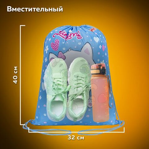 Мешок для обуви ПИФАГОР, 1 отделение, 40х32 см, &quot;Yummy cupcake&quot;, 271603