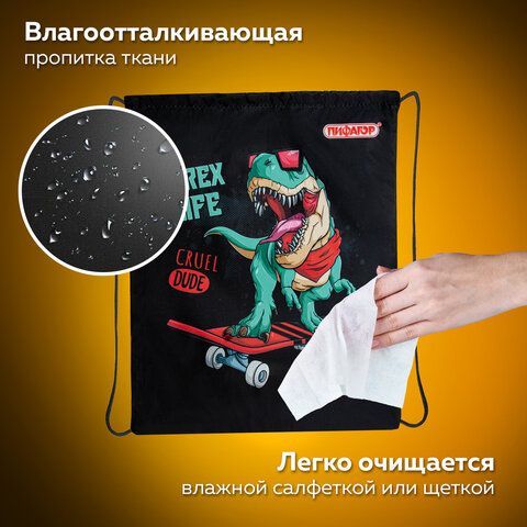 Мешок для обуви ПИФАГОР, 1 отделение, 40х32 см, &quot;T-Rex&quot;, 271606