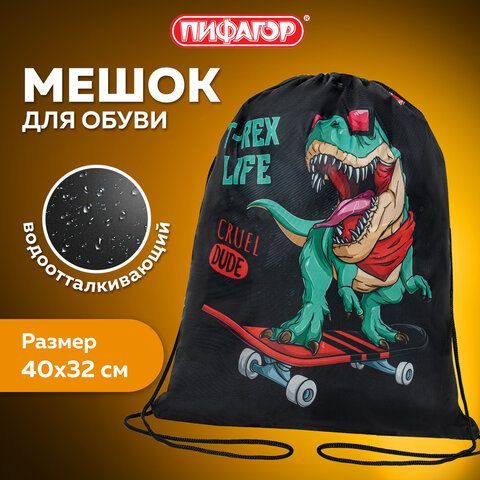 Мешок для обуви ПИФАГОР, 1 отделение, 40х32 см, &quot;T-Rex&quot;, 271606