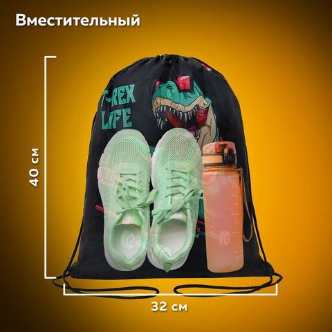 Мешок для обуви ПИФАГОР, 1 отделение, 40х32 см, &quot;T-Rex&quot;, 271606