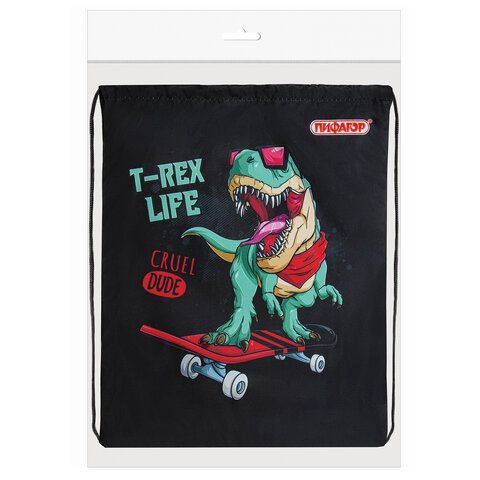 Мешок для обуви ПИФАГОР, 1 отделение, 40х32 см, &quot;T-Rex&quot;, 271606