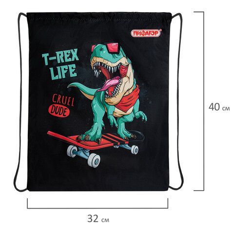 Мешок для обуви ПИФАГОР, 1 отделение, 40х32 см, &quot;T-Rex&quot;, 271606