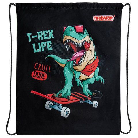 Мешок для обуви ПИФАГОР, 1 отделение, 40х32 см, &quot;T-Rex&quot;, 271606