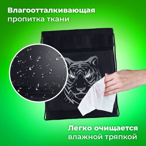 Мешок для обуви BRAUBERG, с петлёй, карман на молнии, 47х37 см, &quot;Tiger&quot;, 271610